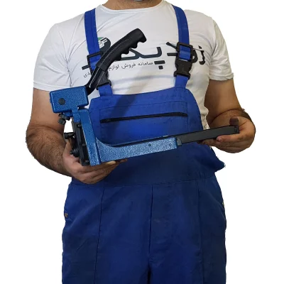 کارتن دوز برت