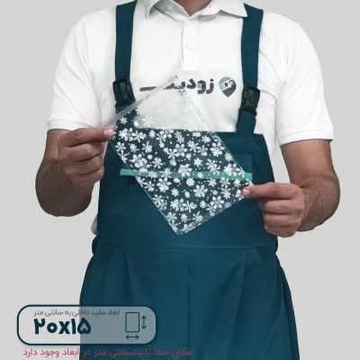 سلفون برفی 2015