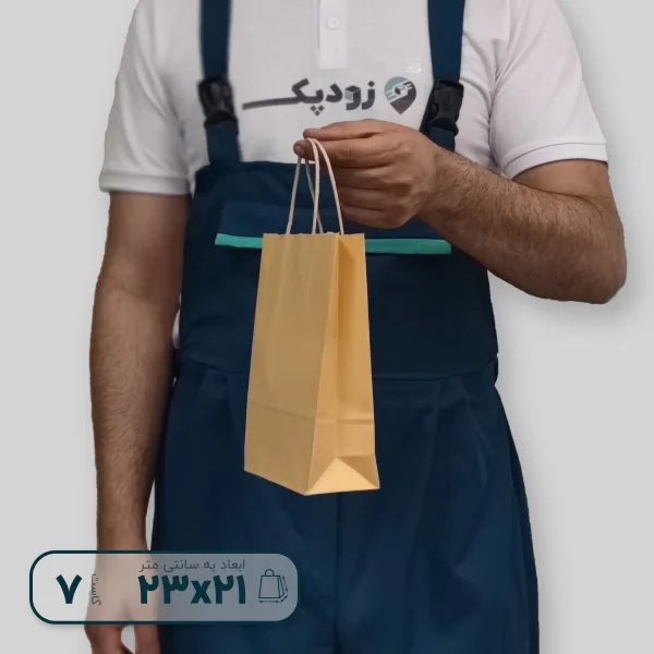 شاپینگ بگ روغنی 23-21گاست