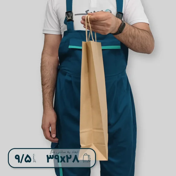 ساک دستی دسته کاغذی 3928 گاست