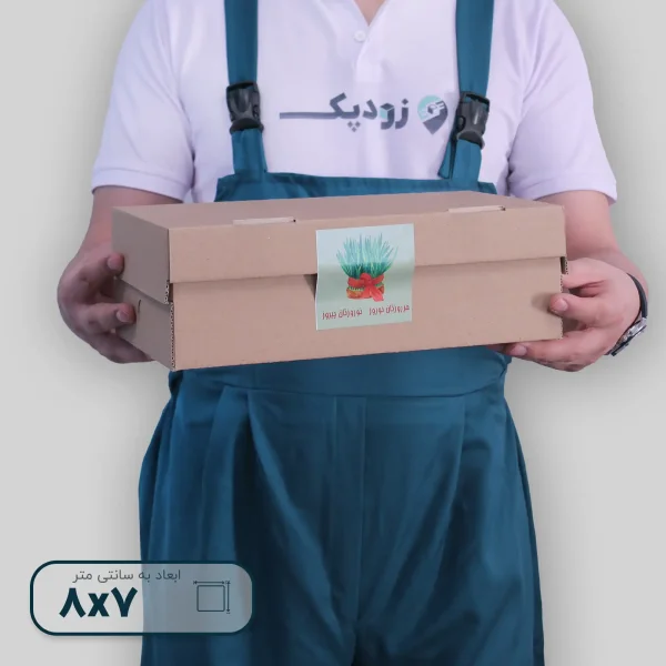 نوروزی کارتن