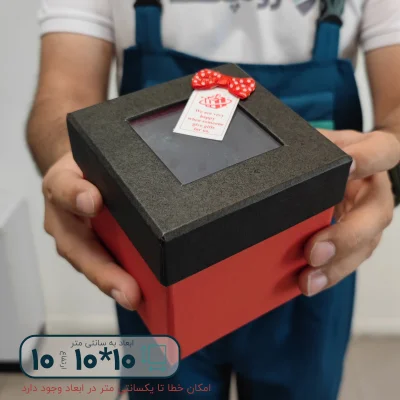 هاردباکس مکعبی درب طلقی 10*10 ارتفاع 10 سانتیمتر - تصویر 2