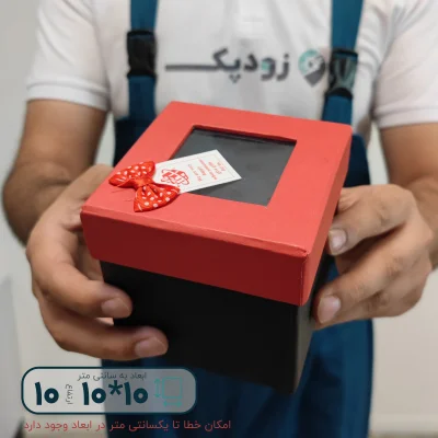 هاردباکس مکعبی درب طلقی 10*10 ارتفاع 10 سانتیمتر - تصویر 3