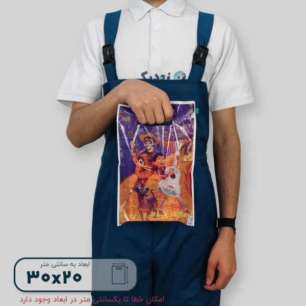 ساک دستی پلاستیکی 30*20 کد A9801