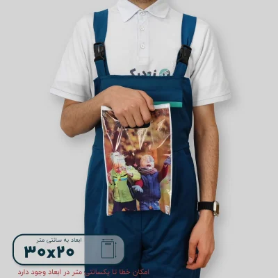 ساک دستی پلاستیکی 30*20 کد C9806 - تصویر 6