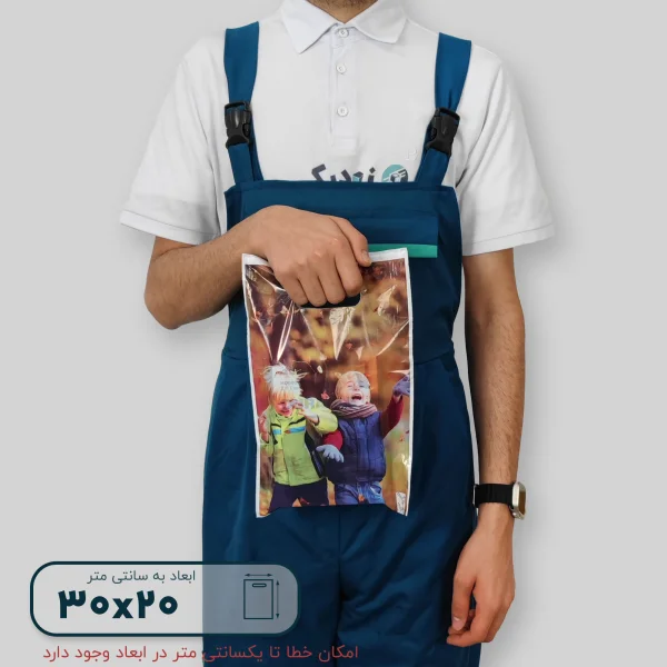 ساک دستی پلاستیکی 30*20 کد C9806