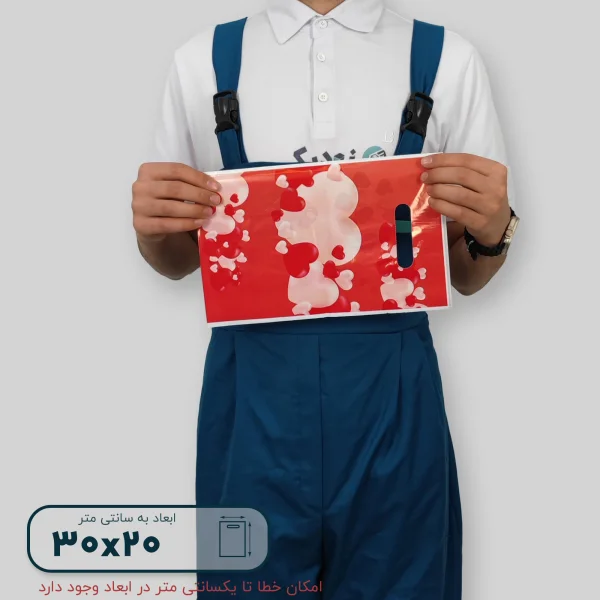 ساک دستی پلاستیکی 30*20 کد G9809