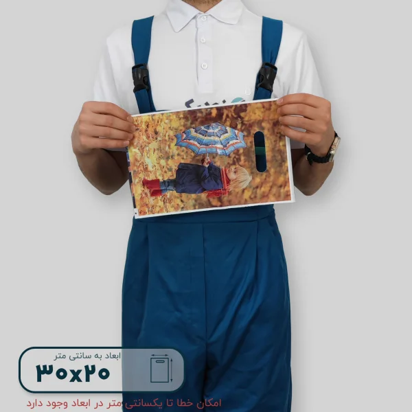 ساک دستی پلاستیکی 30*20 کد C9806