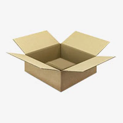 کارتن کتابی